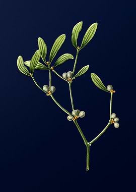 Botanical Painting on Blue