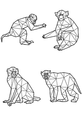 Polygon Monkey