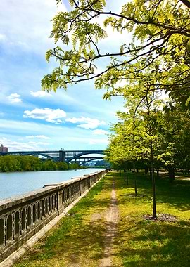 East River NYC Summer