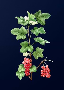 Blue Floral Illustration