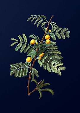 Botanical Painting on Blue