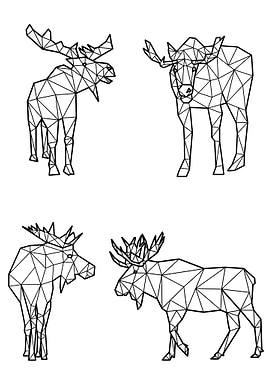 Polygon Moose