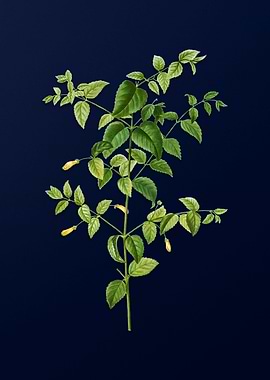 Botanical Painting on Blue