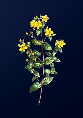 Blue Floral Illustration