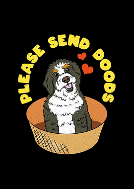 Send Bernadoodle