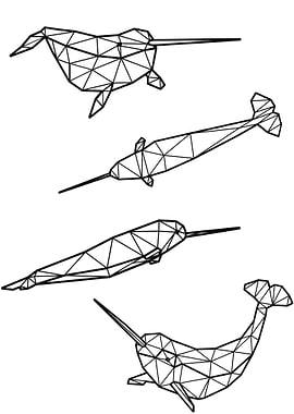 Polygon Narwhal