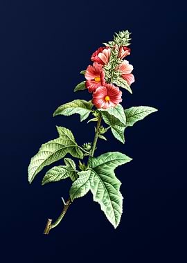 Blue Floral Illustration