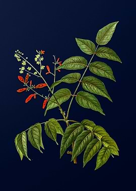 Botanical Painting on Blue