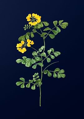 Blue Floral Illustration