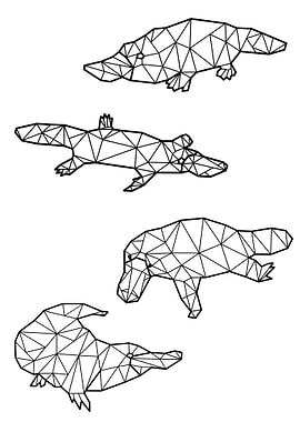Polygon Platypus