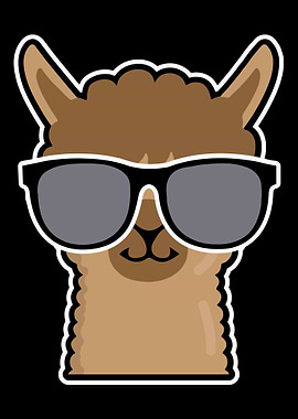 Lama Alpaca with glasses