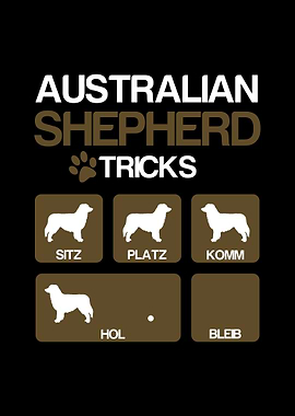 Australian Shepherd Tricks