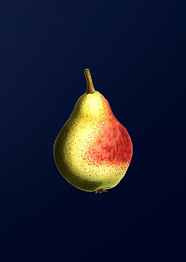 Vintage Pear on Deep Blue