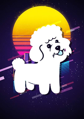 Bichon Frise