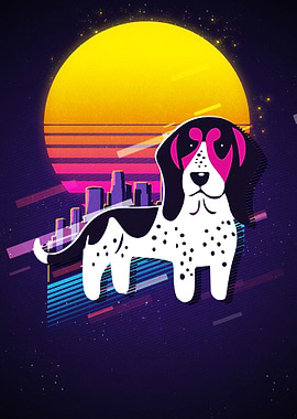 Berner Niederlaufhunde