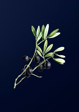 Blue Vintage Olive Branch