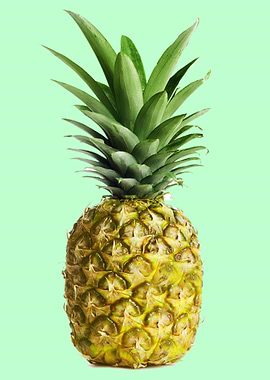Pineapple exotic Fruit