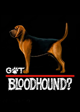 Got Bloodhound Dog