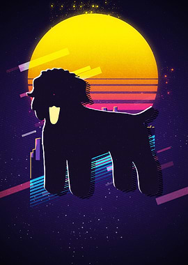 Black Russian Terrier