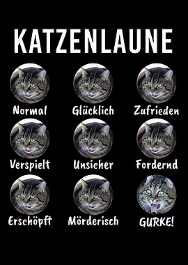 Cats Mood Cats Cat Kittens