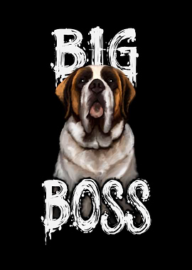 BIG BOSS Bernhardiner Dog