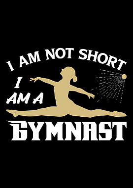 gymnastics Gym Fitness