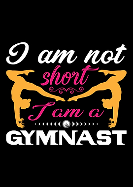 gymnastics Gym Fitness