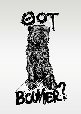 GOT BOUVIER DOG