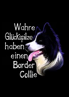 Border Collie Glueckspilz