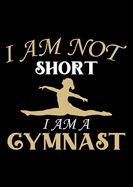 gymnastics Gym Fitness