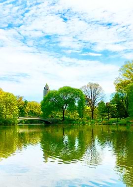 Central Park Lake Bridge