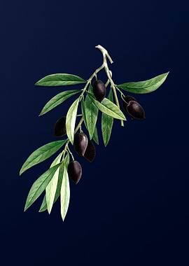 Blue Vintage Olive Branch
