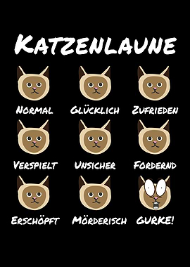 Cats Mood Cats Cat Kittens