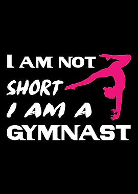 gymnastics Gym Fitness