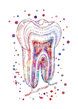 Tooth