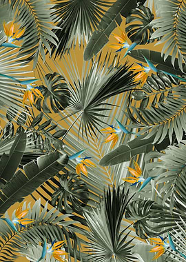 Bird of Paradise Jungle 3