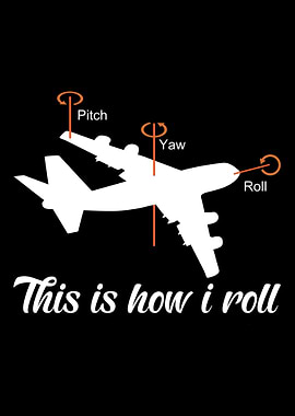 Aviation Pilots Airplane