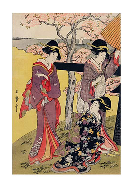 Cherry blossom viewing