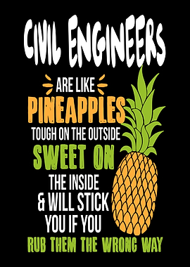Civil Engineers Pineapples