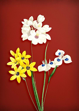 Vintage Corn Lily on Red