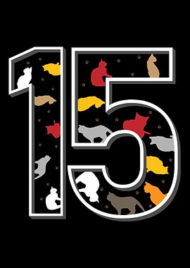 15th birthday cat gift