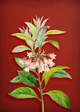 New Year Flower on Red