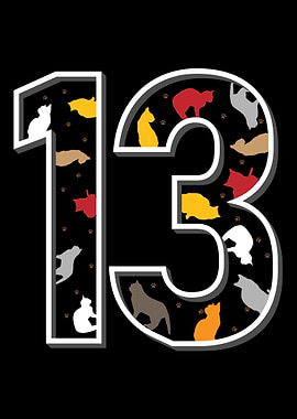 13th birthday cat present