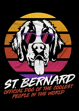 Coolest Dog Bernard