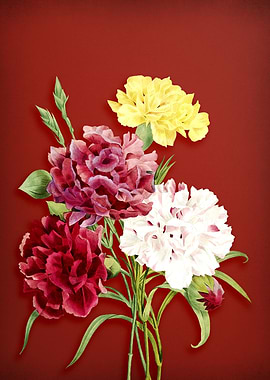 Vintage Carnation on Red