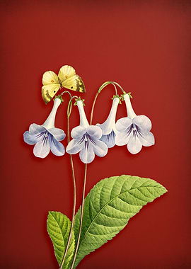 Canterbury Bells on Red