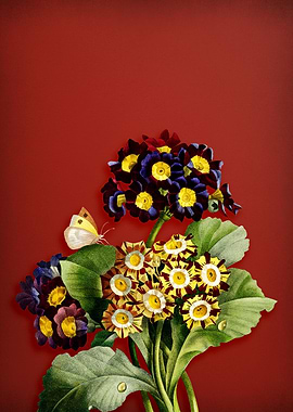 Antique Flower on Red