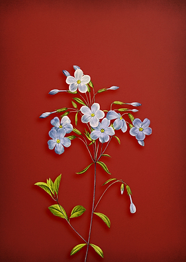 Vintage Phlox on Red