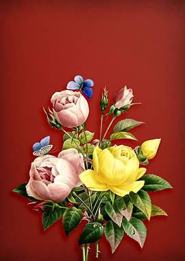 Variety of Roses on Red