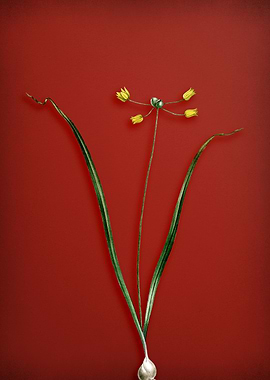 Vintage Floral on Red